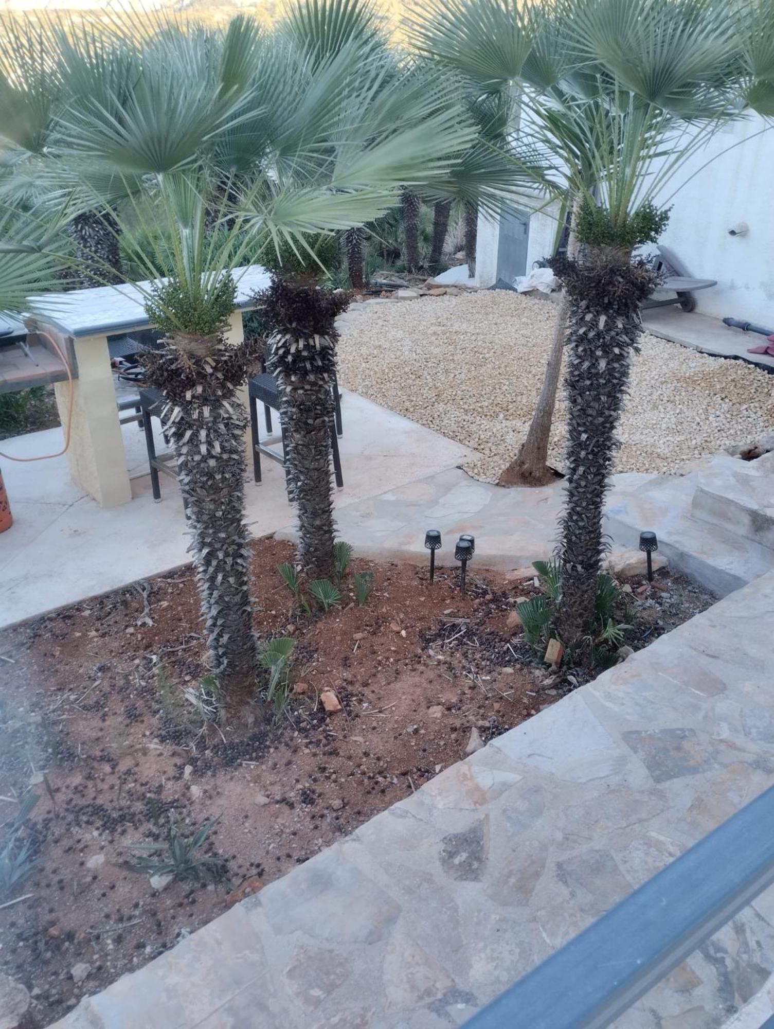 Luxe Appartement Met Tuin Benidoleig Ngoại thất bức ảnh